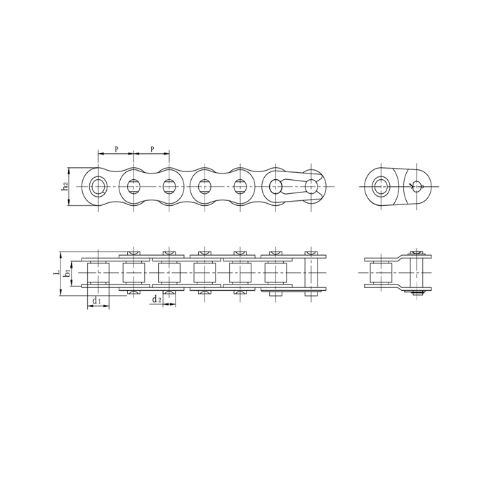 Roestvrijstalen precisierollenkettingen met korte steek