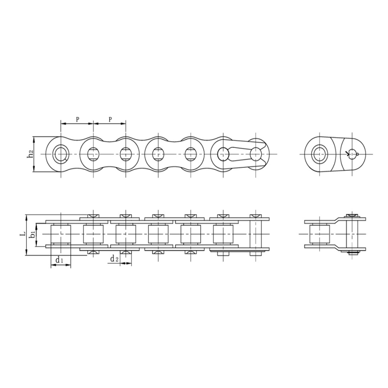 Roestvrijstalen precisierollenkettingen met korte steek