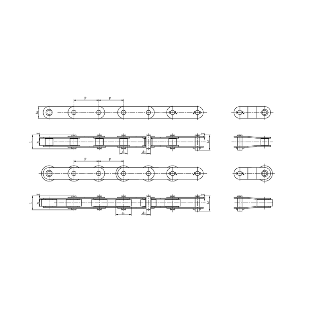 Transportkettingen van roestvrij staal met dubbele steek